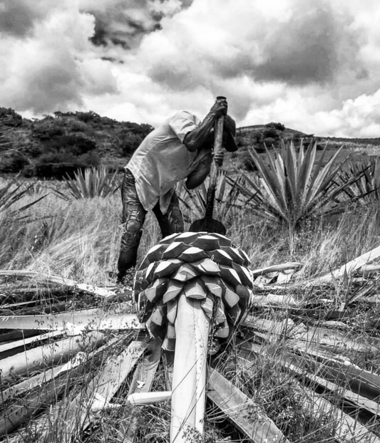 Mezcal Revelador Cuixe